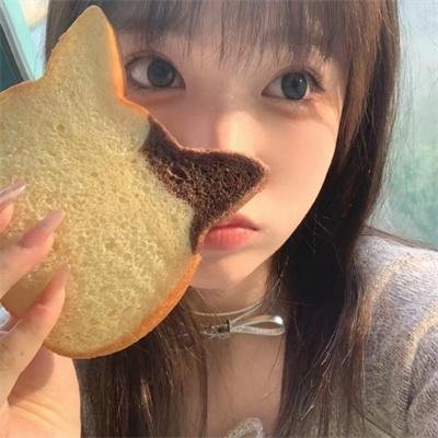 拳影人生